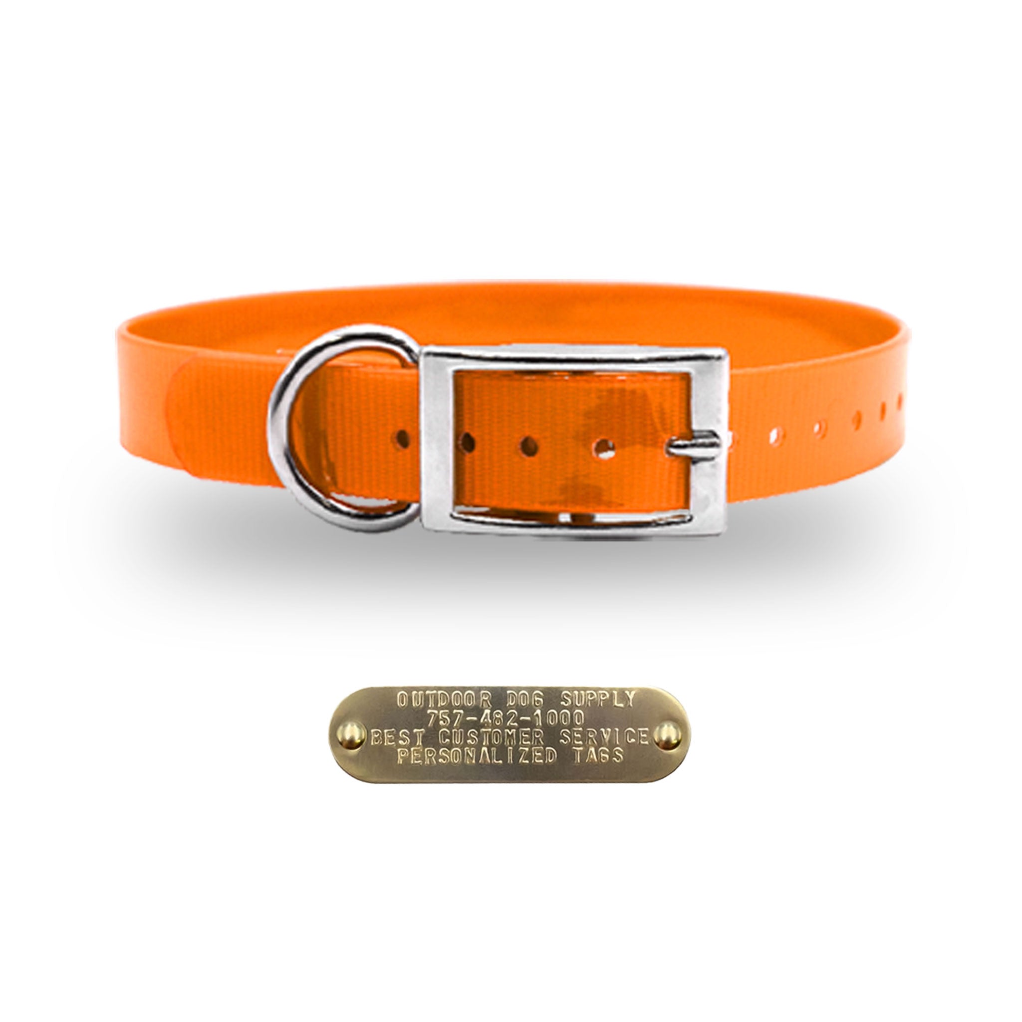 1" Premium D Ring Collar with personalized nametag collar- Orange