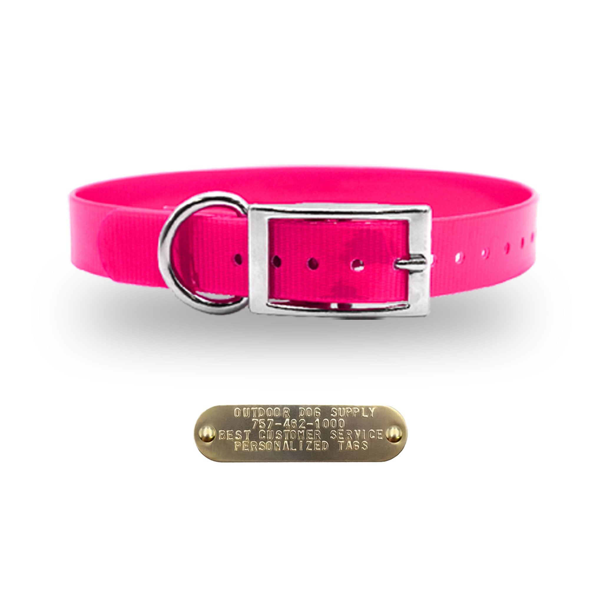 1" Premium D Ring Collar with personalized nametag collar- Pink