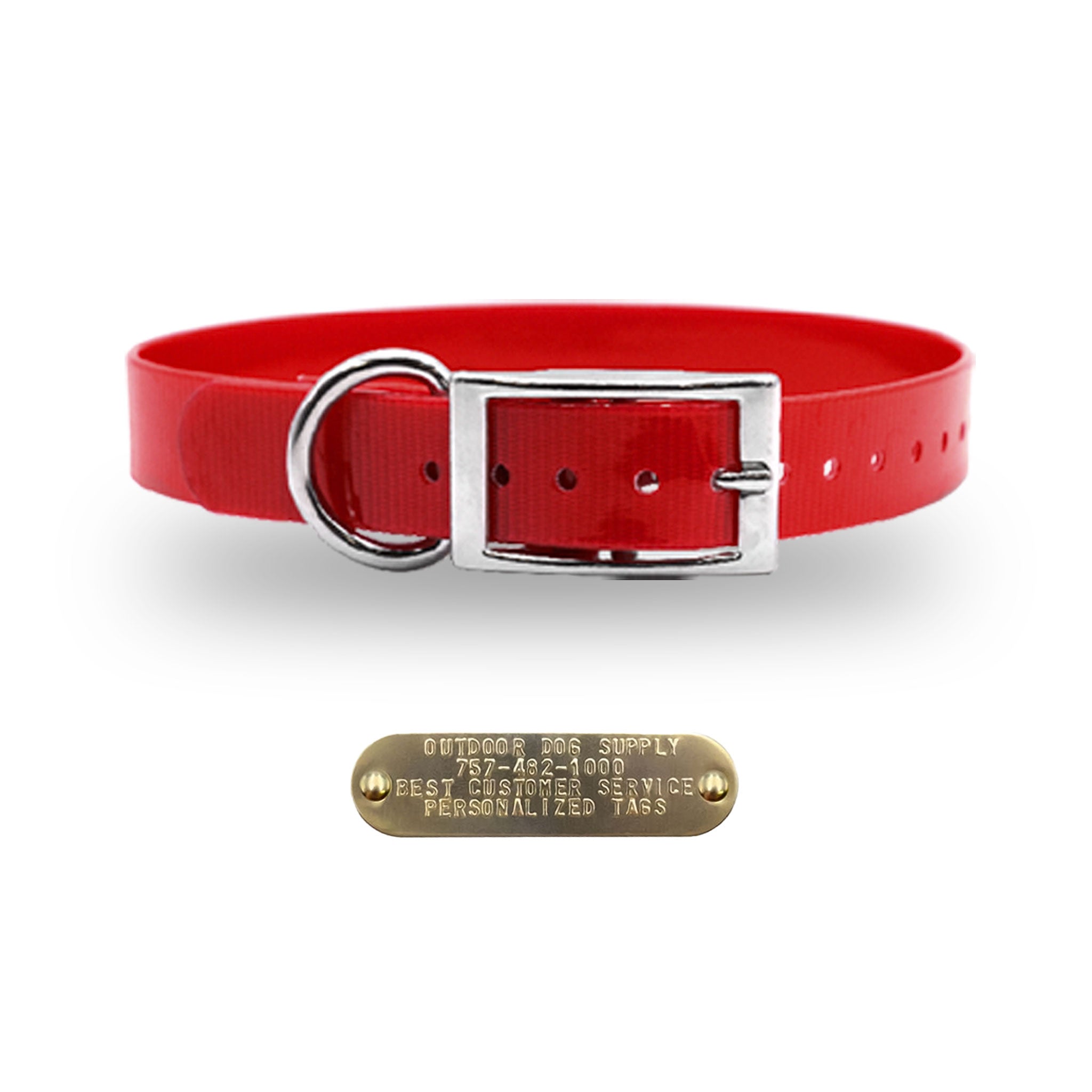 1" Premium D Ring Collar with personalized nametag collar- Red