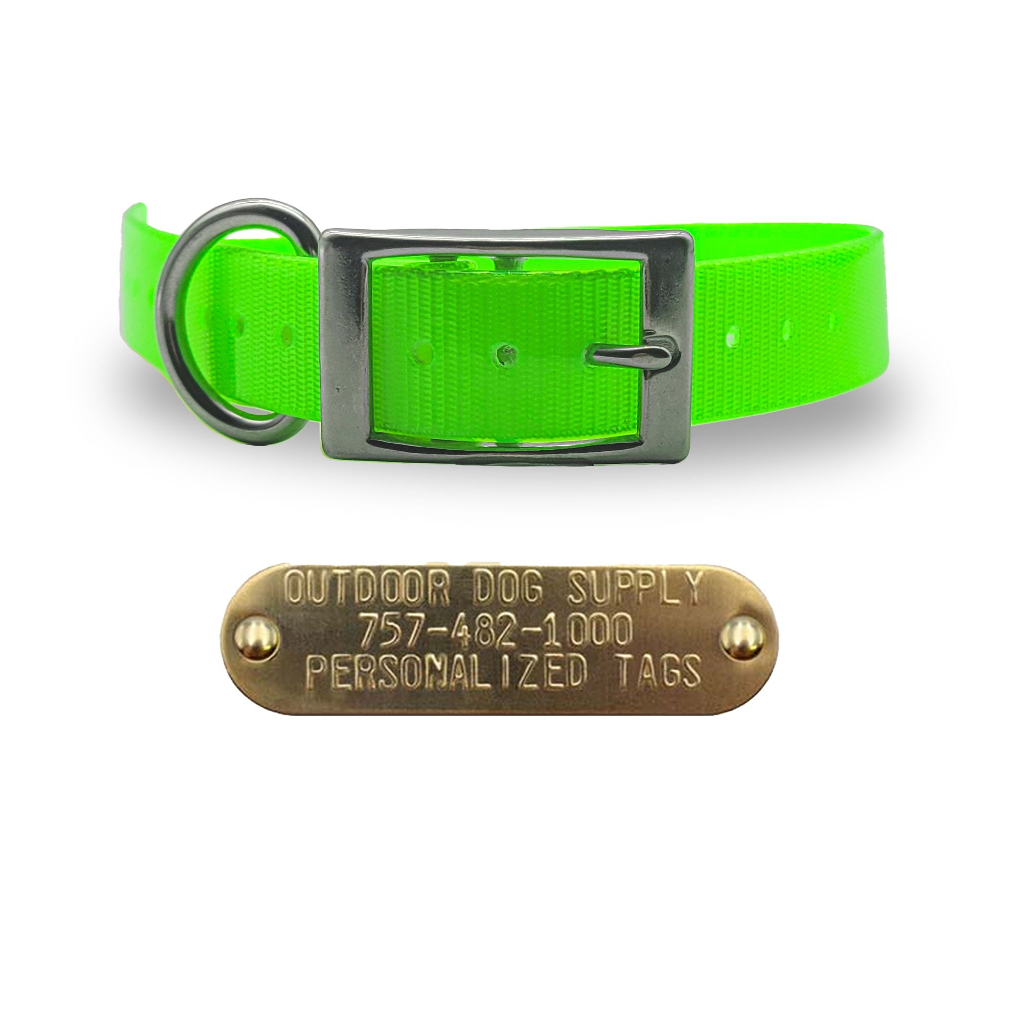1" Stainless Steel D Ring Dog Collar with personalized nametag- Lime Green