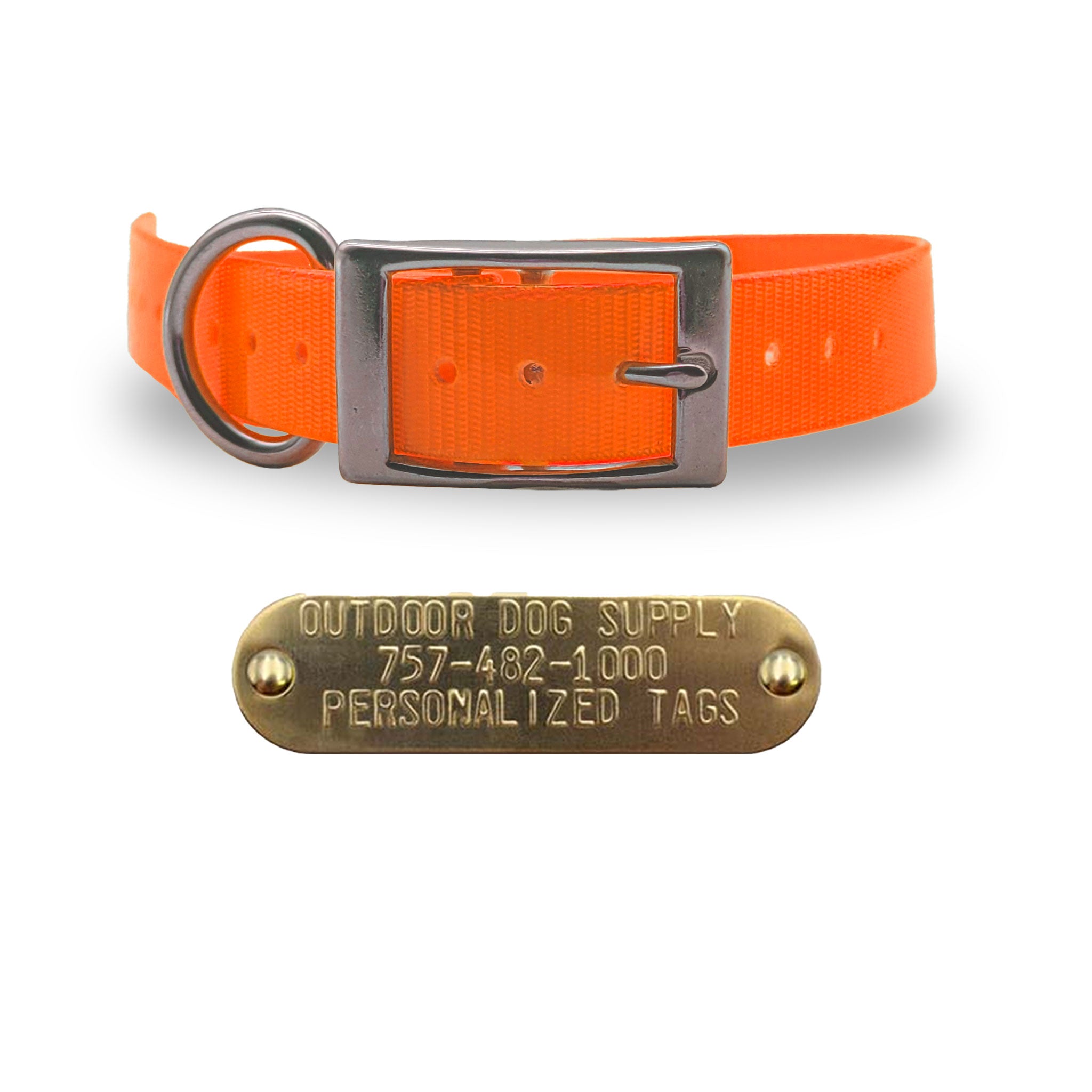 1" Stainless Steel D Ring Dog Collar with personalized nametag- Orange