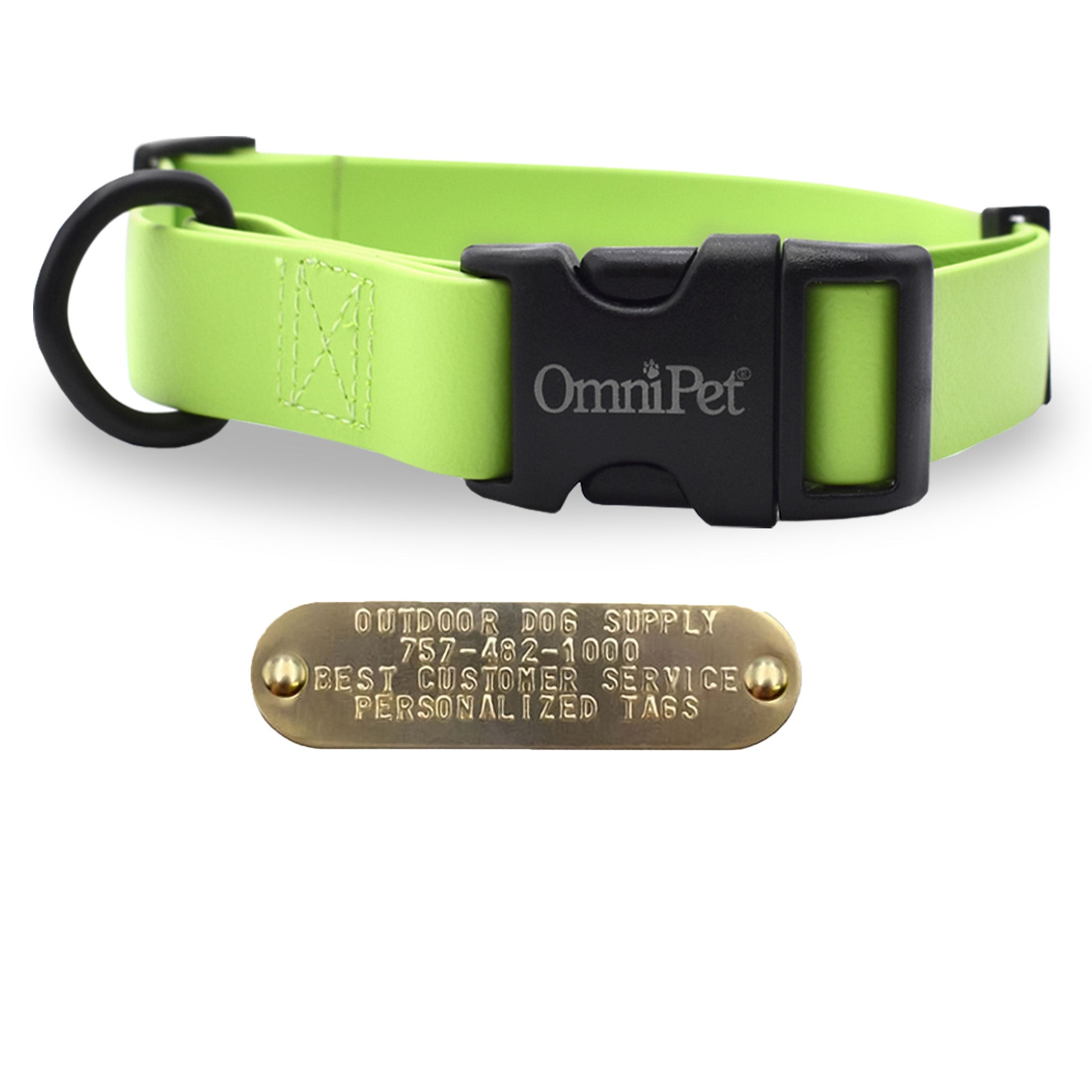 Green 1-inch Carnival dog collar with free brass nameplate, waterproof and durable for medium to large breeds.