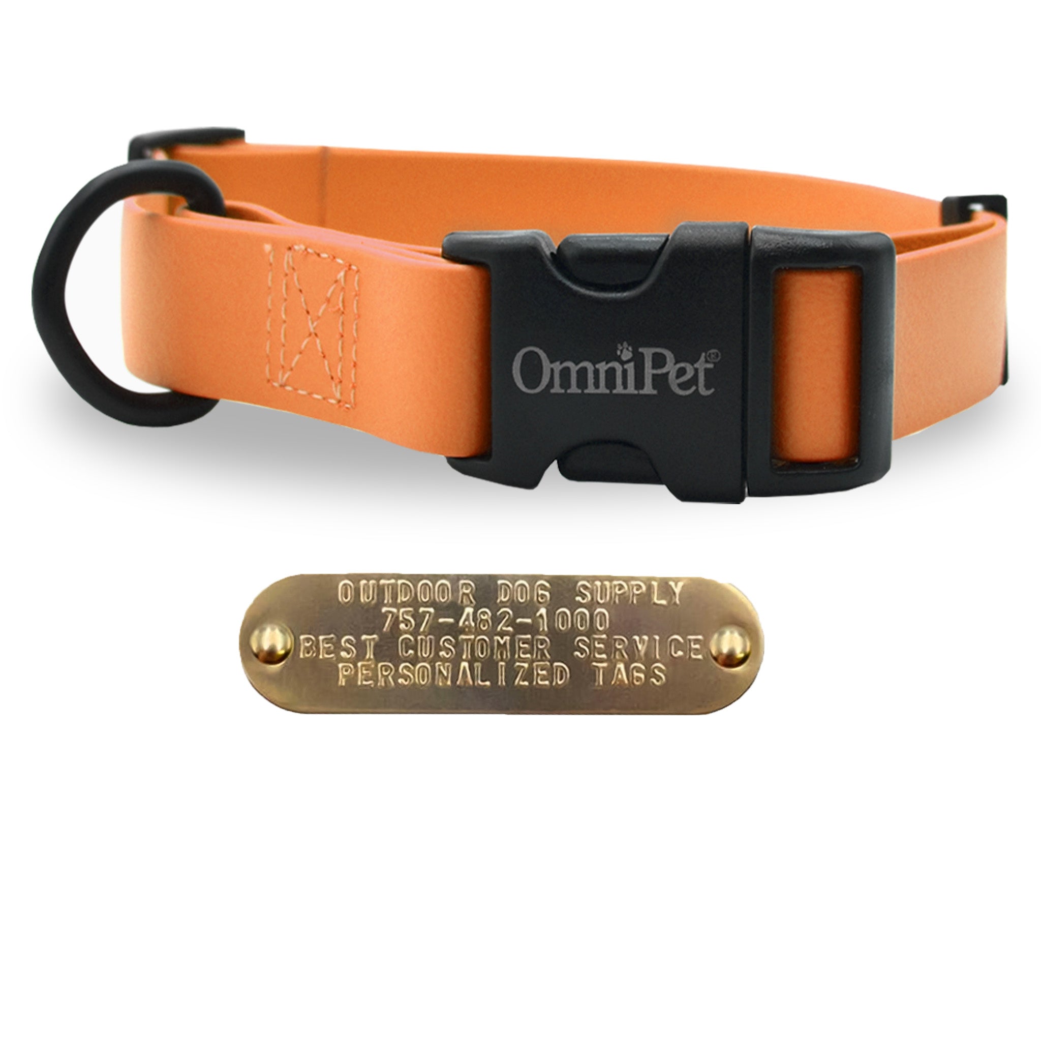 Orange 1-inch Carnival dog collar with free brass nameplate, waterproof and durable for medium to large breeds.