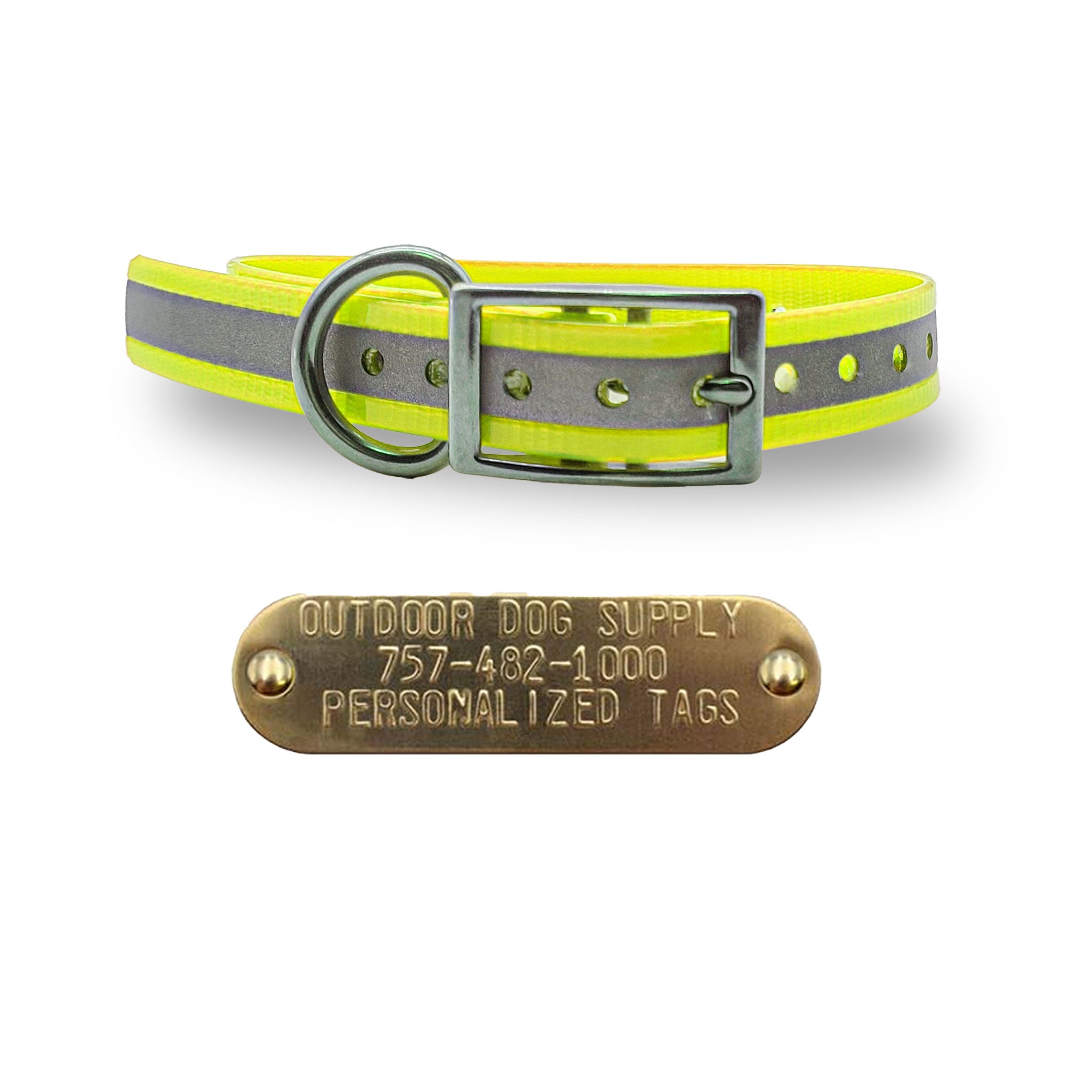3/4" Stainless Steel D Ring Dog Collar with personalized nametag-