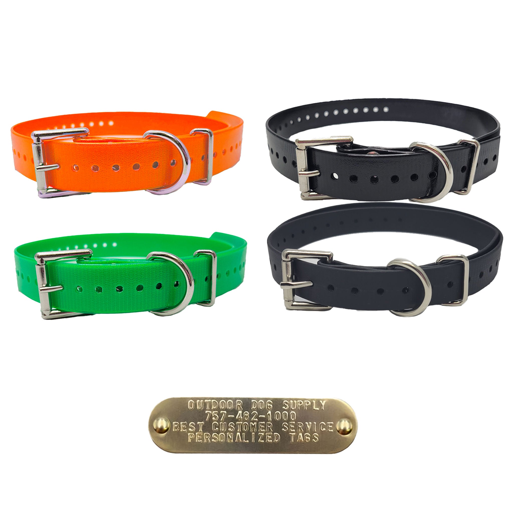3/4" Double Buckle Basic Collar with customized nameplate- multi color