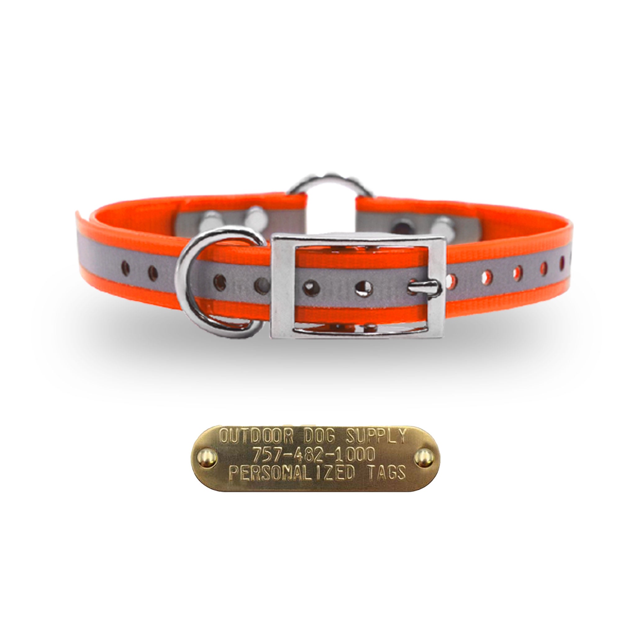3/4" Premium Center Ring Collar with personalized nametag collar- Reflective Orange