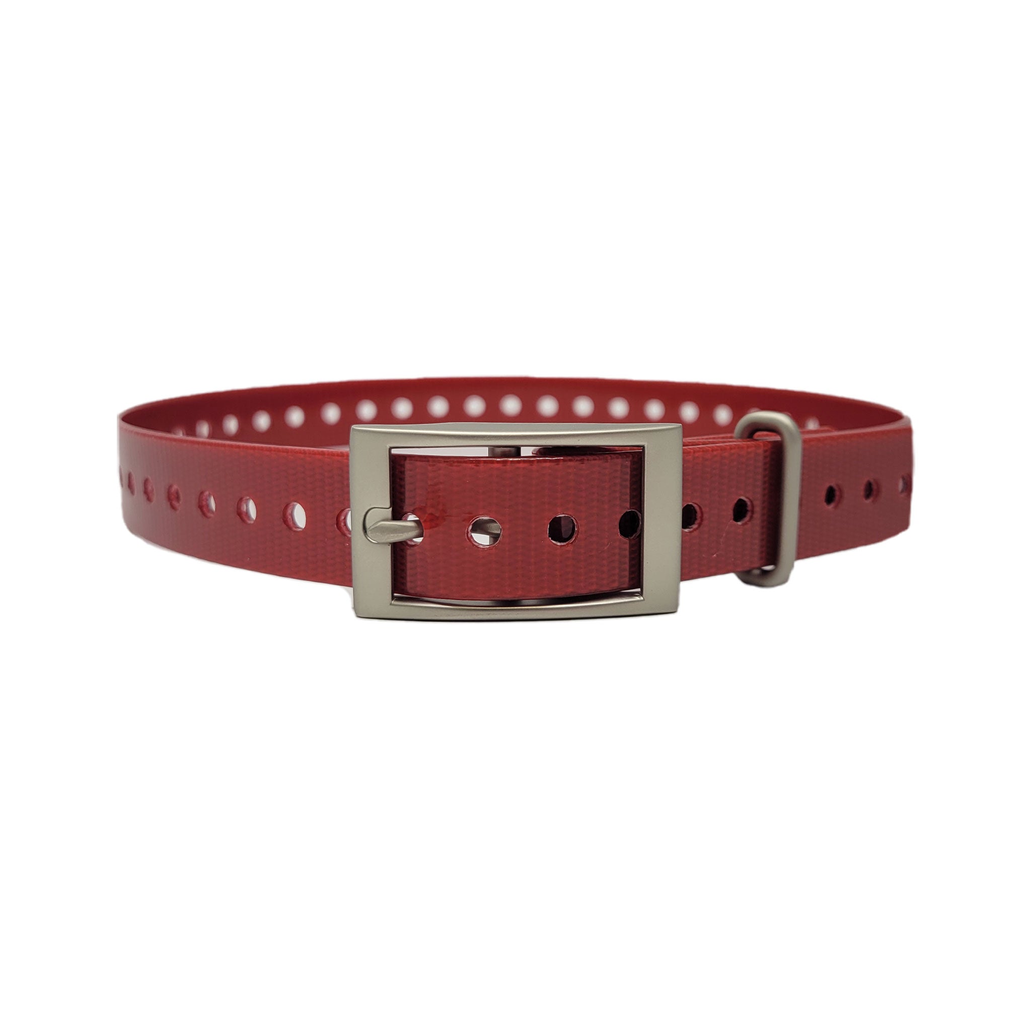 3/4" Basic Garmin Collar- Square Buckle Red