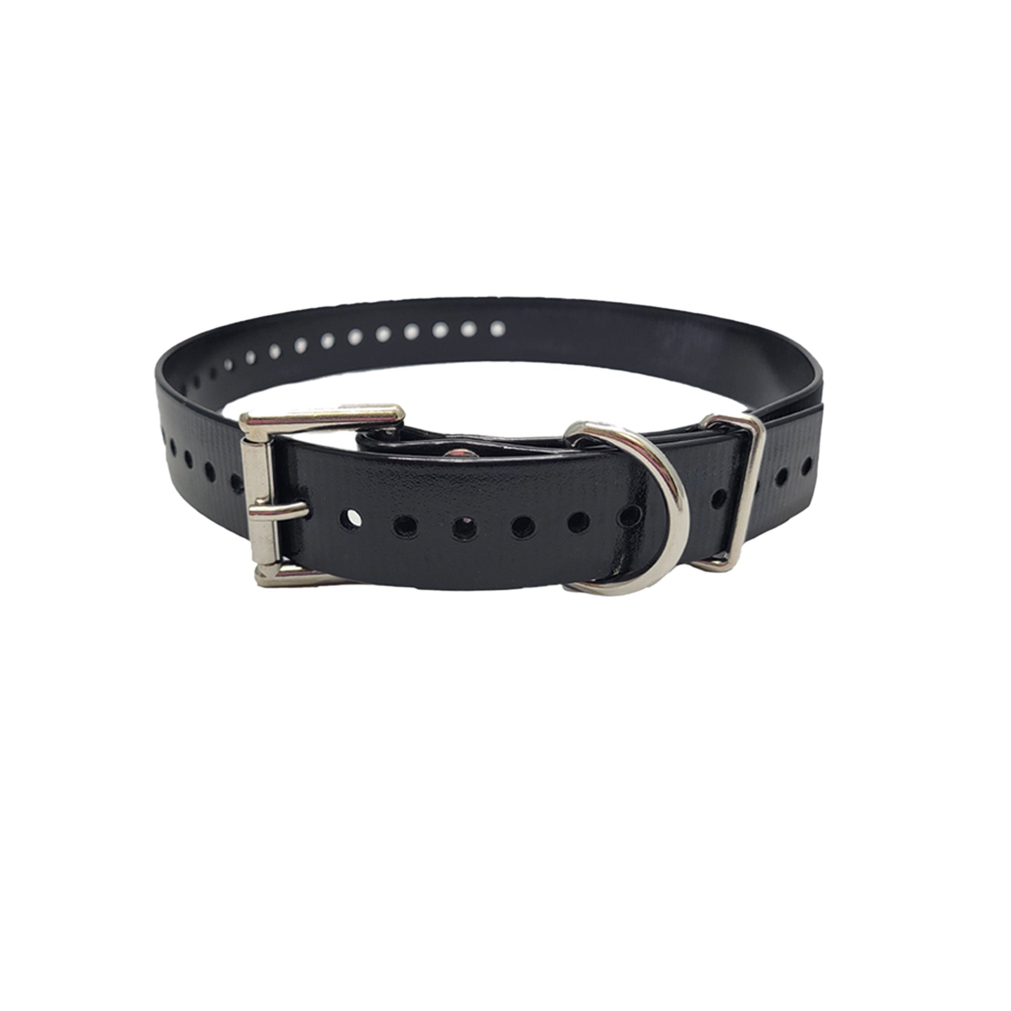 1" Double Buckle Basic Collar- Black