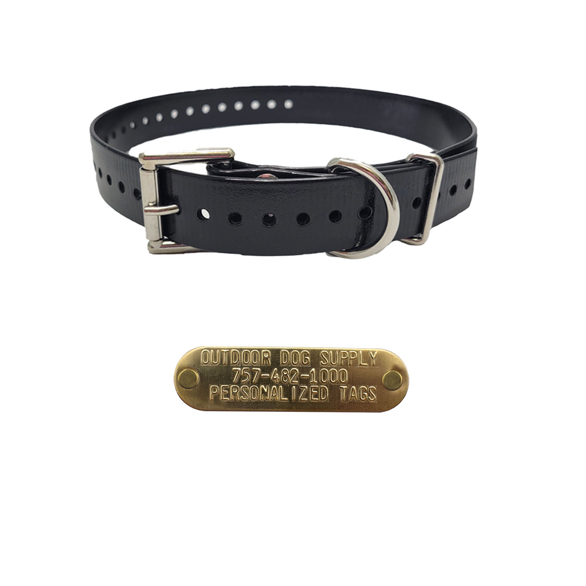 3/4" Double Buckle Basic Collar with customized nameplate- black