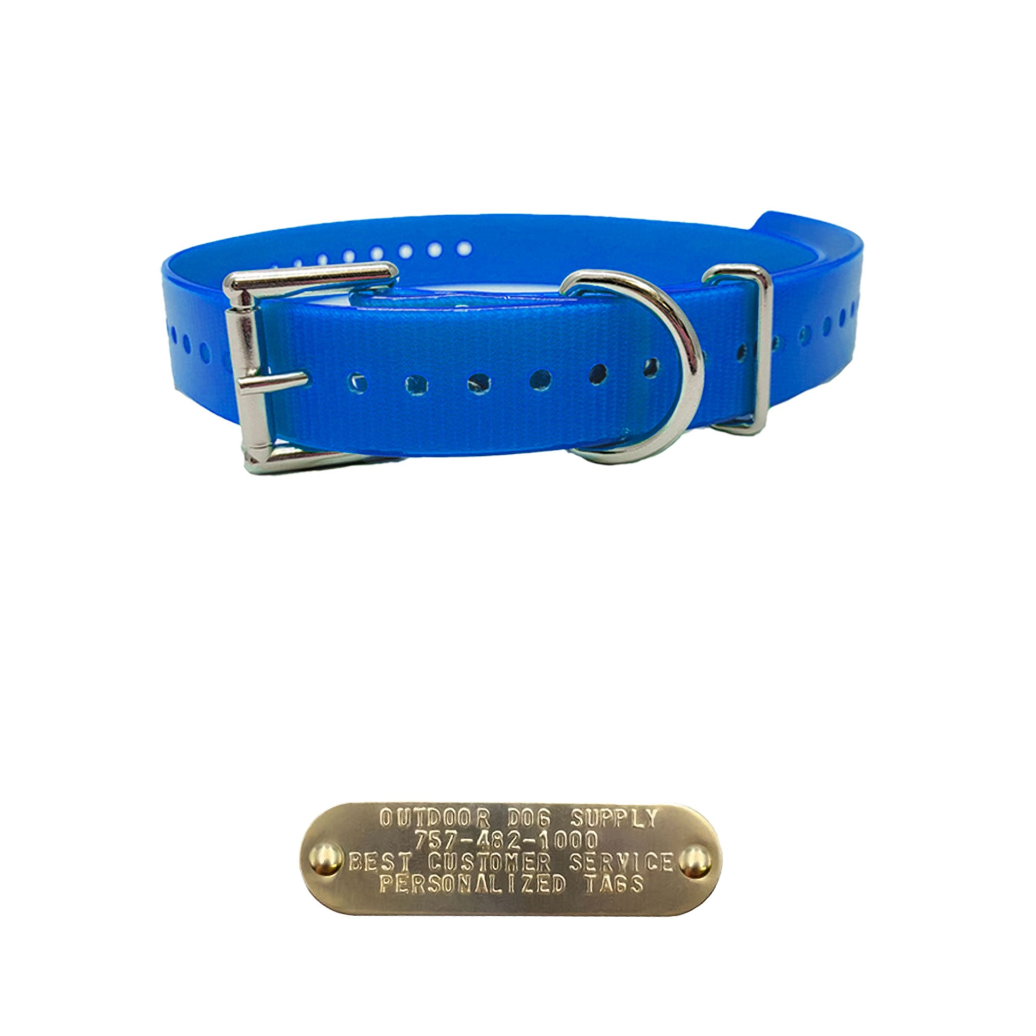 3/4" Double Buckle Basic Collar with customized nameplate- blue