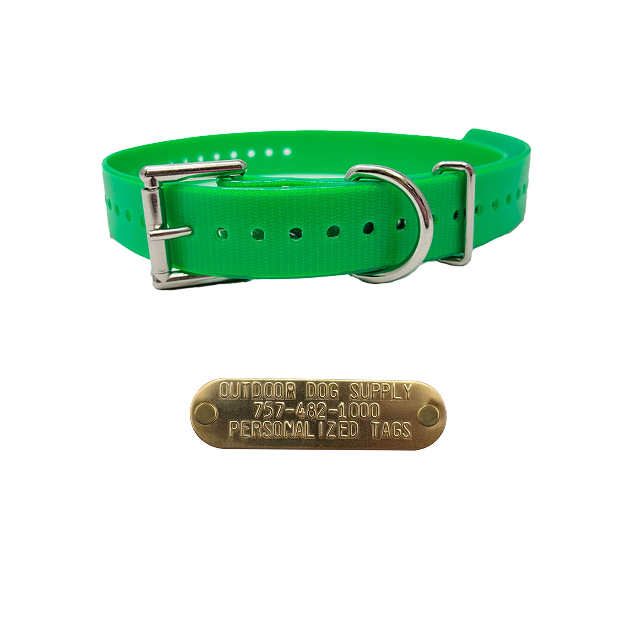 1" Double Buckle Basic Collar with customized nameplate- green