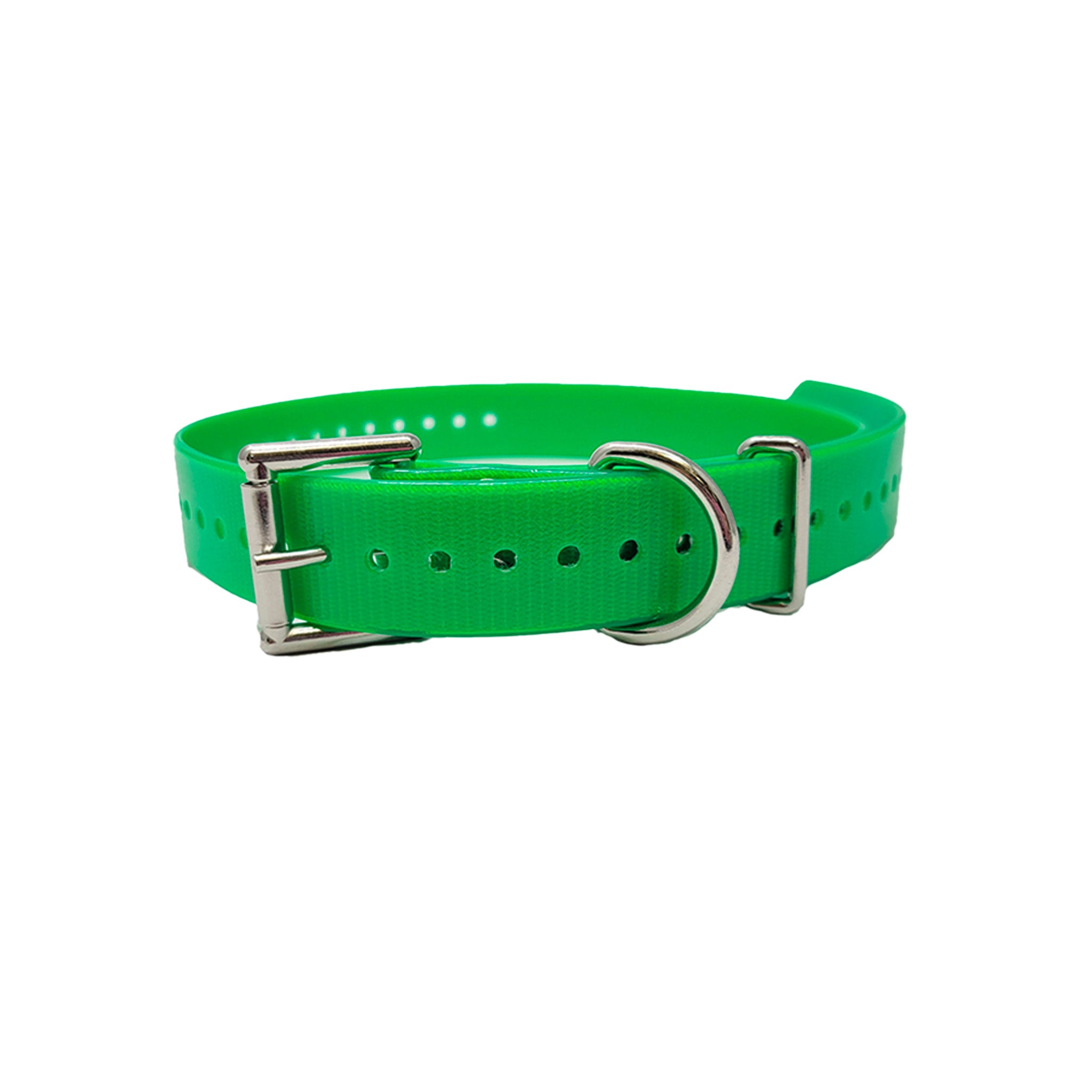1" Double Buckle Basic Collar- Green