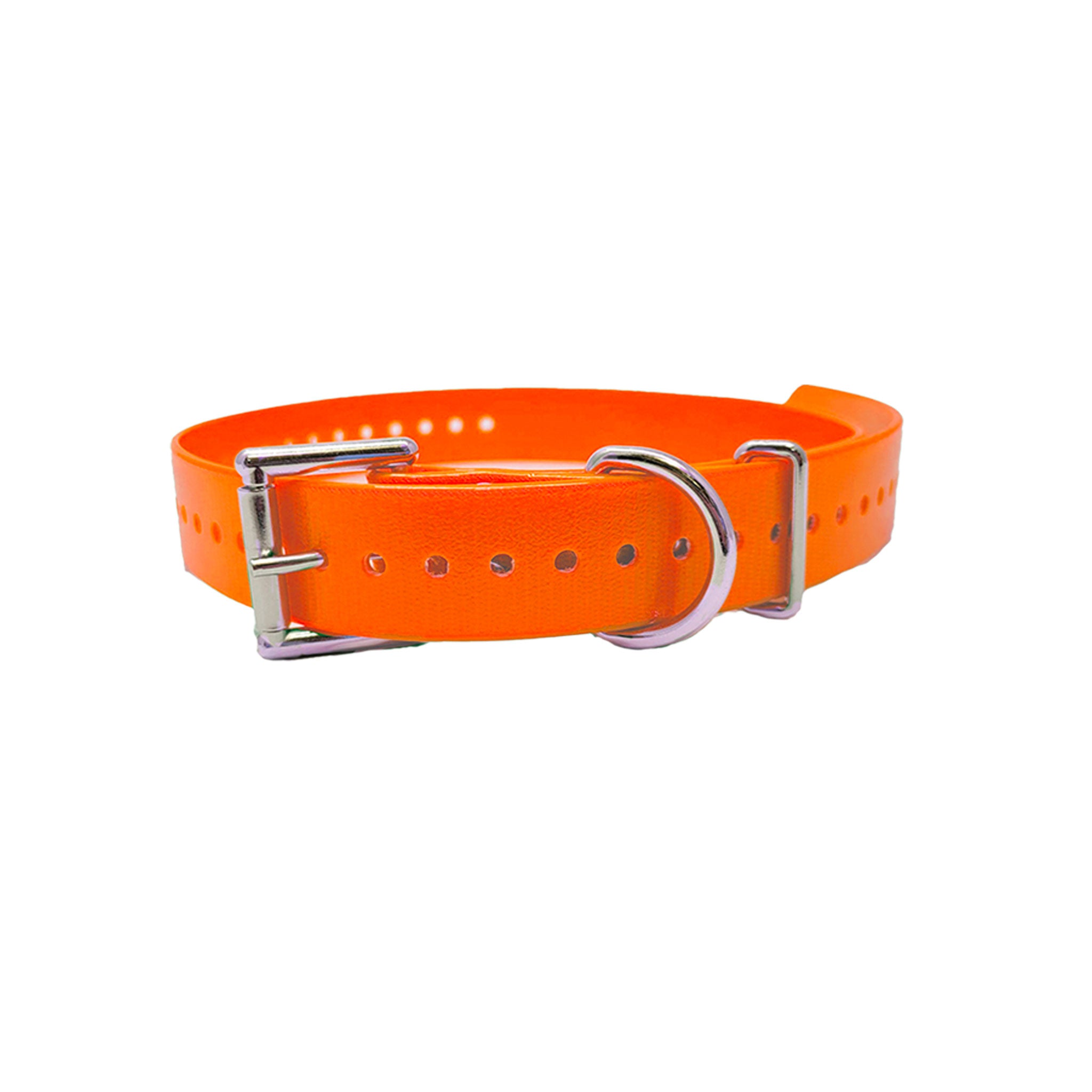 3/4" Double Buckle Basic Collar- Orange