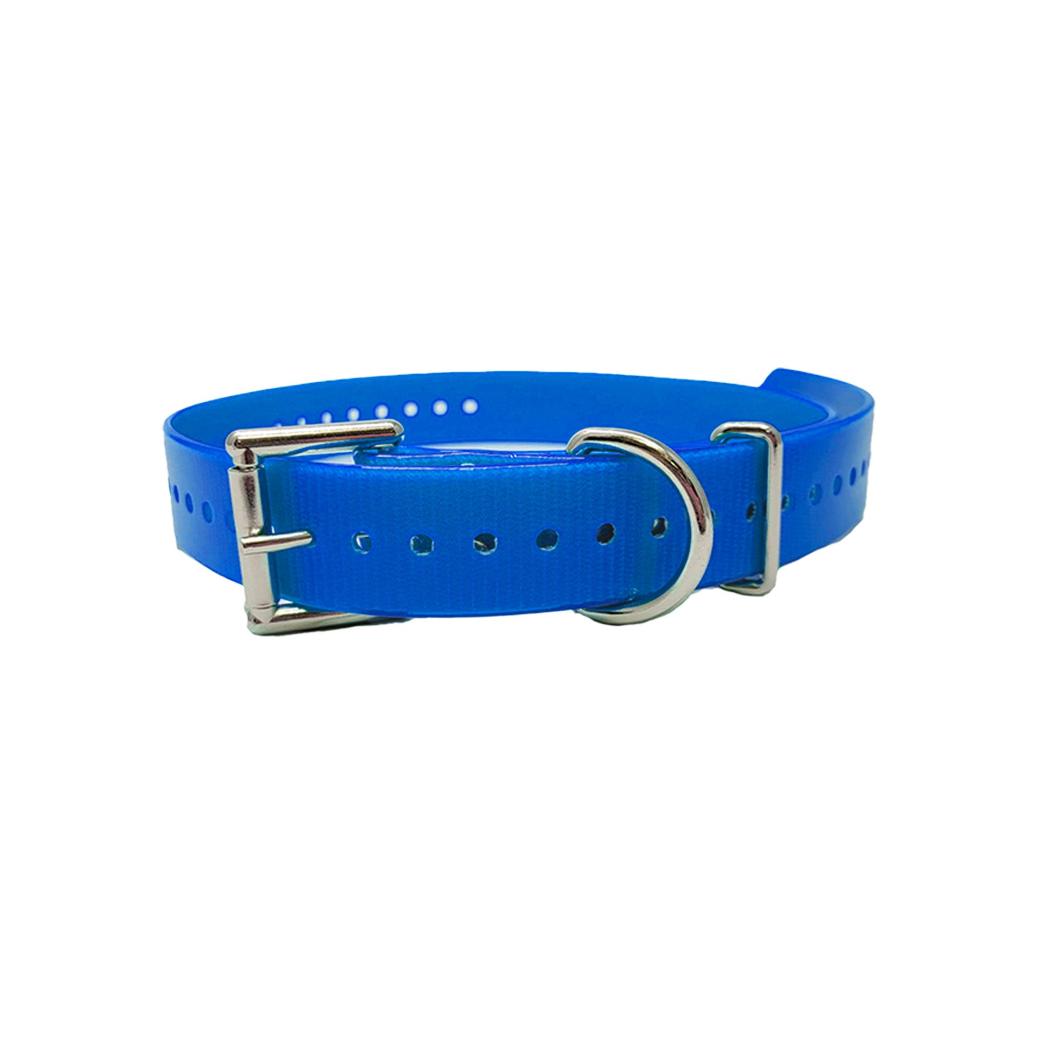 3/4" Double Buckle Basic Collar-Blue
