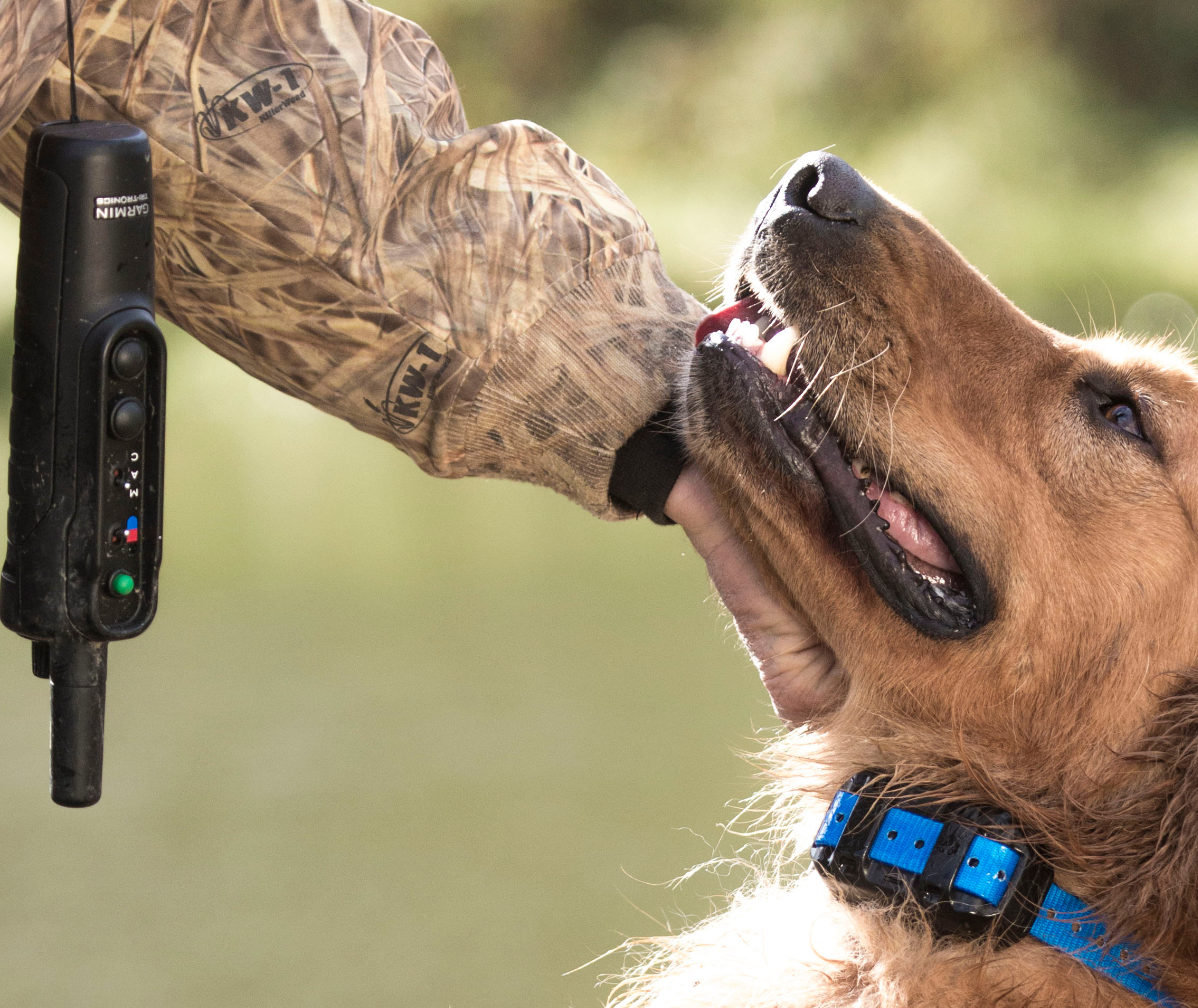 Pro 550 Handheld image