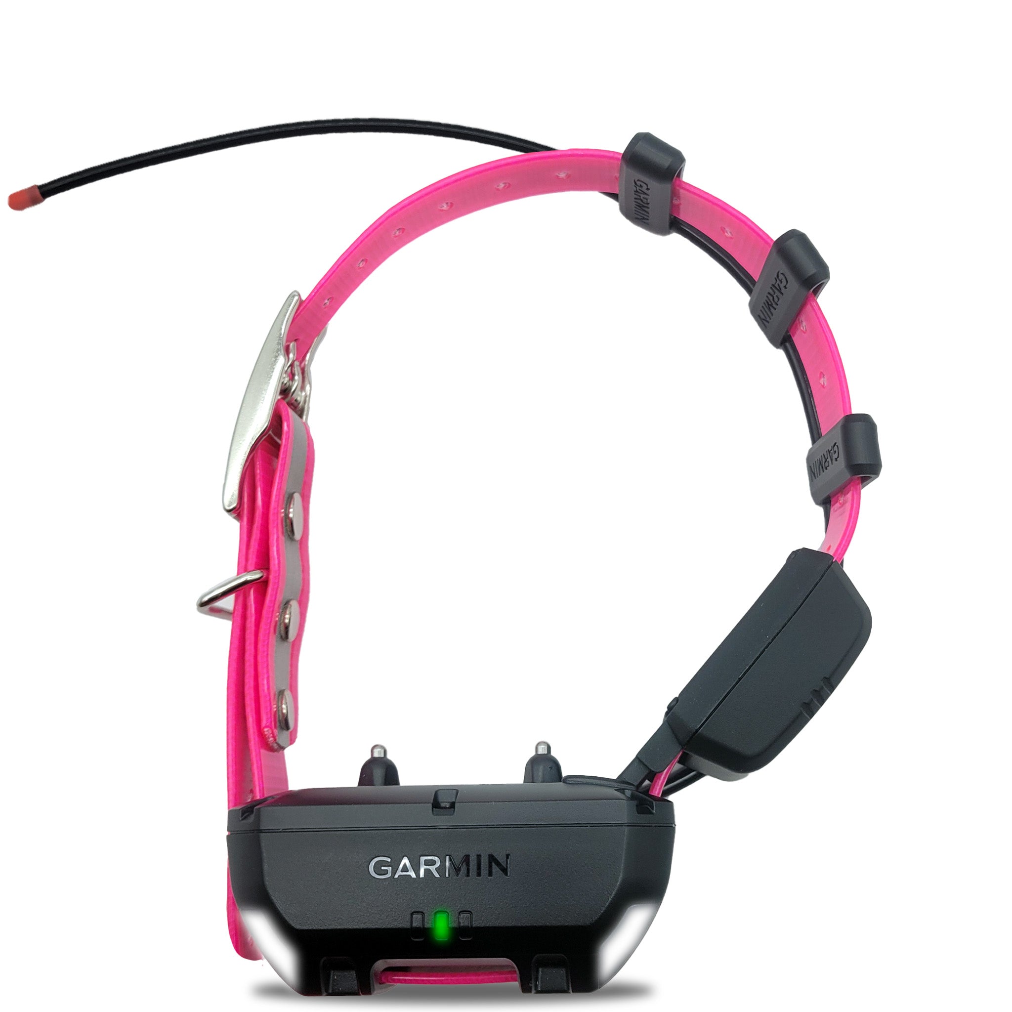 Garmin Alpha TT25 Mini track and train Collar. Front view showing the light and training prongs.