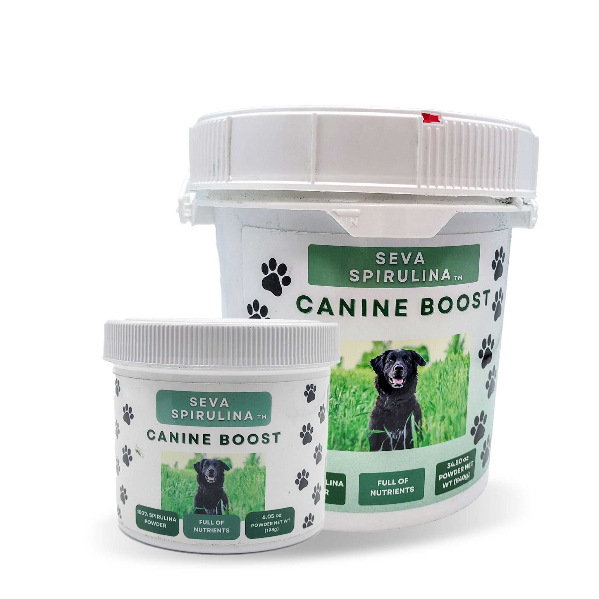 Organic and nutrient-rich spirulina for active and aging dogs