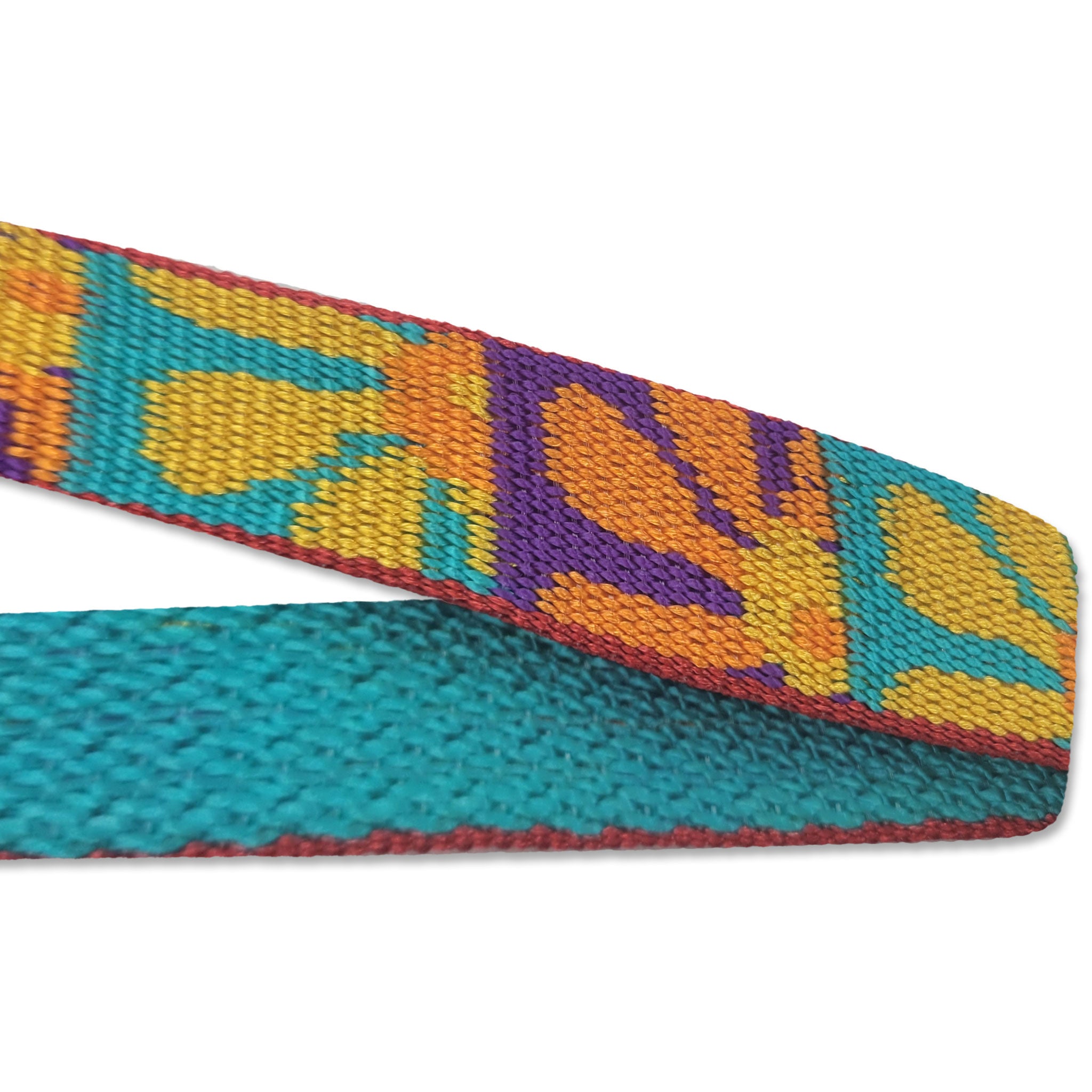 Lupine Name Tag Dog Collar Straps- Crazy Daisy
