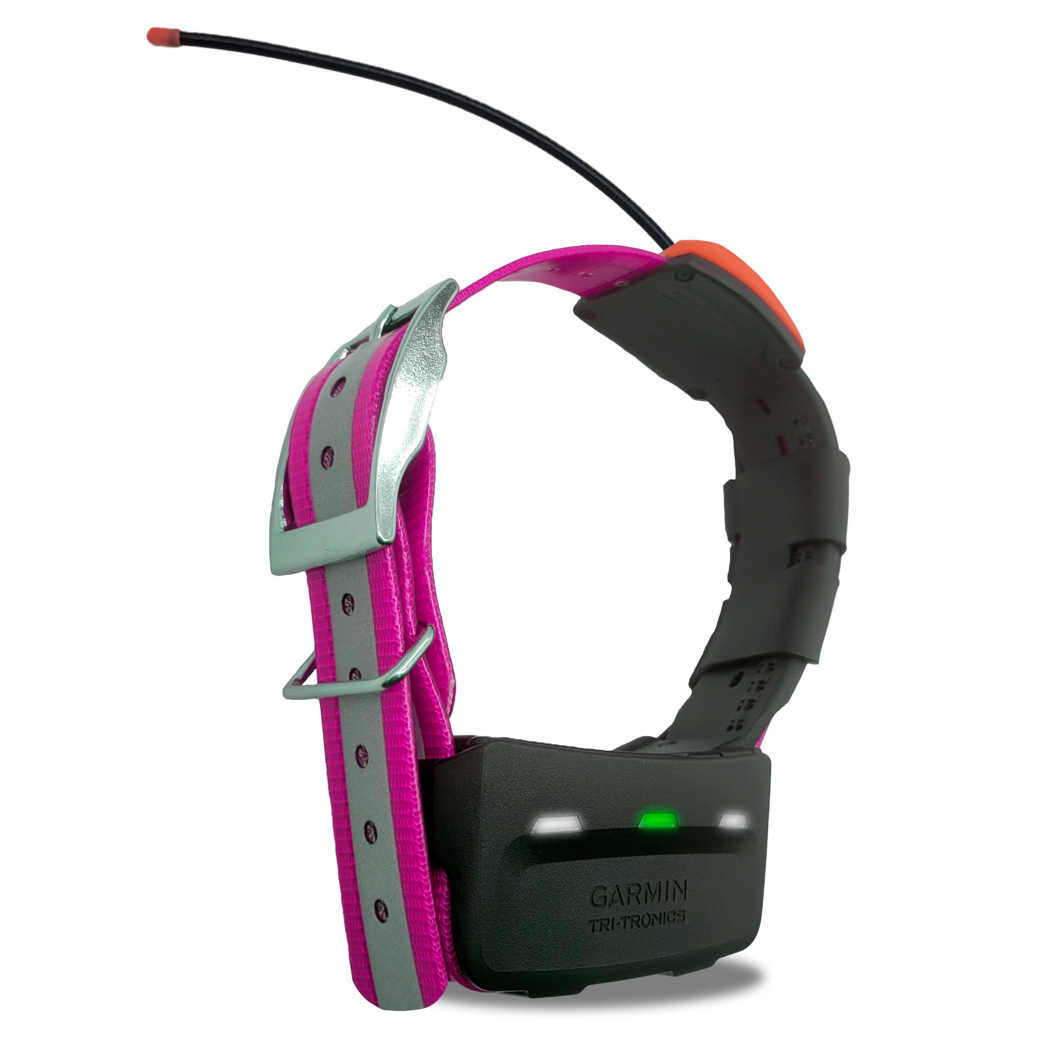 Garmin T5X tracking collar- other side view