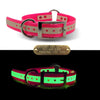 1" Glow In The Dark Premium Glow Tuff Center Ring Collar with Brass Name Plate- Limited Edition Standard 3/4" Test Questions & Answers