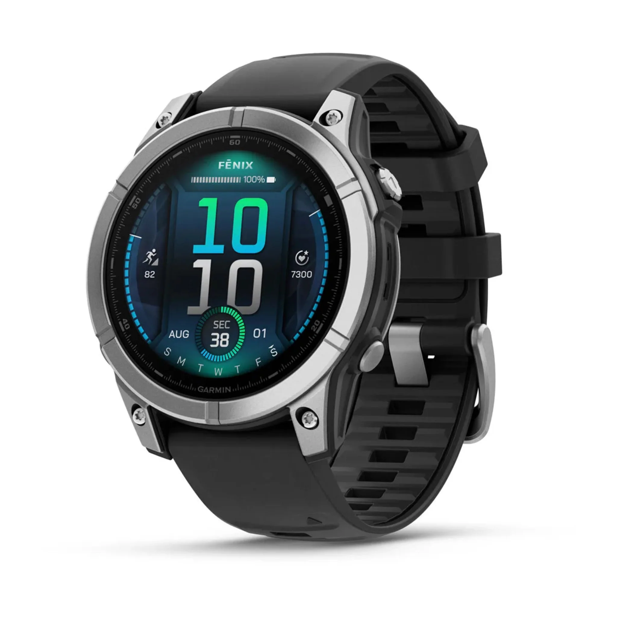 Garmin Fenix E Watch Questions & Answers
