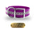 1 1/2" Premium D Ring Name Tag Collar- Reflective Purple