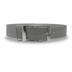 1" Garmin Replacement Strap- Silver