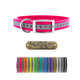 1" Premium D Ring Collars with Nametags- Reflectives