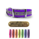 1" Stainless Steel Collar with Nametags- Reflective