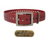Versatile 1" dog collars. Ideal for ID tags, puppies, spare. Fits 10-27" necks. Free brass name plate. Not for leashes. Red Square Buckle