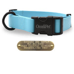 Blue 1-inch Carnival dog collar with free brass nameplate, waterproof and durable for medium to large breeds.