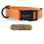 Orange 1-inch Carnival dog collar with free brass nameplate, waterproof and durable for medium to large breeds.