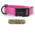 Pink 1-inch Carnival dog collar with free brass nameplate, waterproof and durable for medium to large breeds.