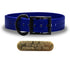 SoftFlex 1" dog collar with black hardware, brass name plate, and waterproof, odor-resistant leather-like material. Made in USA. - Blueberry Blast