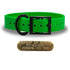 SoftFlex 1" dog collar with black hardware, brass name plate, and waterproof, odor-resistant leather-like material. Made in USA. - Candy Apple Green