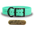SoftFlex 1" dog collar with black hardware, brass name plate, and waterproof, odor-resistant leather-like material. Made in USA. - Mint Green