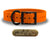 SoftFlex 1" dog collar with black hardware, brass name plate, and waterproof, odor-resistant leather-like material. Made in USA. - Orange Orange
