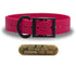 SoftFlex 1" dog collar with black hardware, brass name plate, and waterproof, odor-resistant leather-like material. Made in USA. - Raging Raspberry