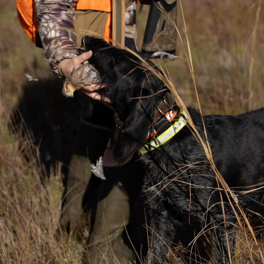 Bird Launcher Field Trial & Training Supplies – Outdoor Dog Supply
