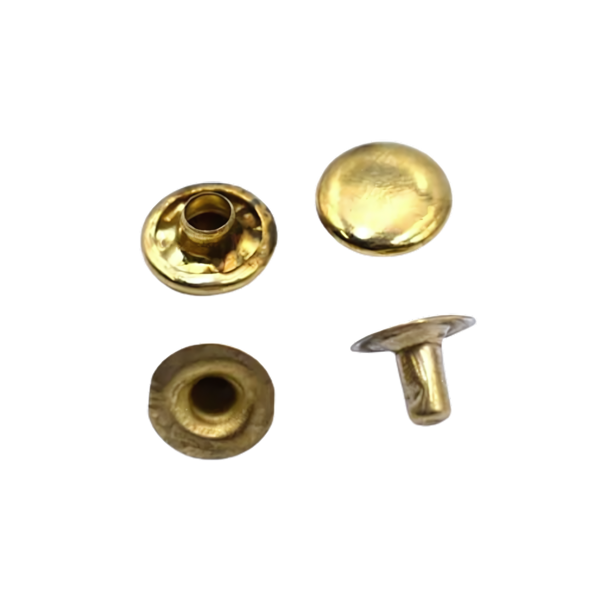 Brass Plated Snap Rivets – Outdoor Dog Supply
