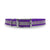 3/4" Garmin Replacement collar strap- reflective purple