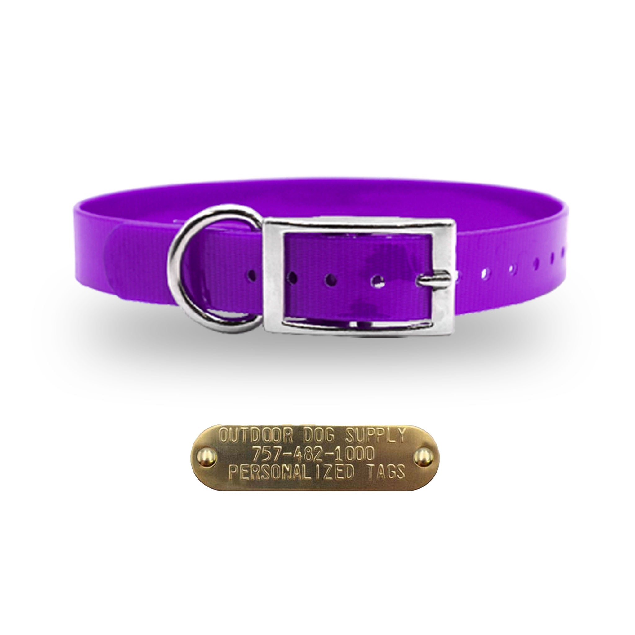 3/4" Premium Collar with personalized nametag collar- Purple