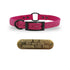 SoftFlex 3/4" dog collar with center ring, black hardware, free brass name plate, and waterproof, odor-resistant material. Raging Raspberry