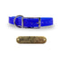 3/4" Solid Elite Collar with Stainless Steel D ring and Buckle