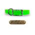 3/4" Solid Elite Collar with Stainless Steel D ring and Buckle