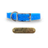 3/4" Solid Elite Collar with Stainless Steel D ring and Buckle