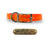 3/4" Solid Elite Collar with Stainless Steel D ring and Buckle