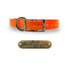 3/4" Solid Elite Collar with Stainless Steel D ring and Buckle