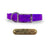 3/4" Solid Elite Collar with Stainless Steel D ring and Buckle