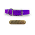 3/4" Solid Elite Collar with Stainless Steel D ring and Buckle
